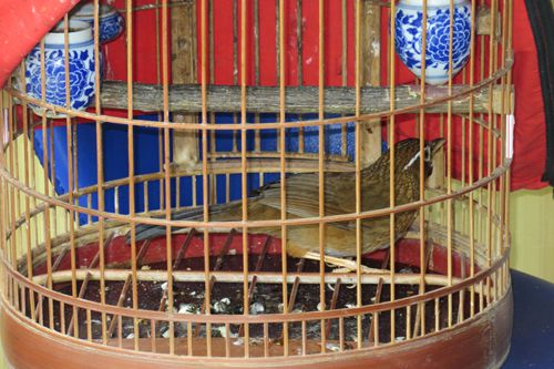 IMG_6059.jpg