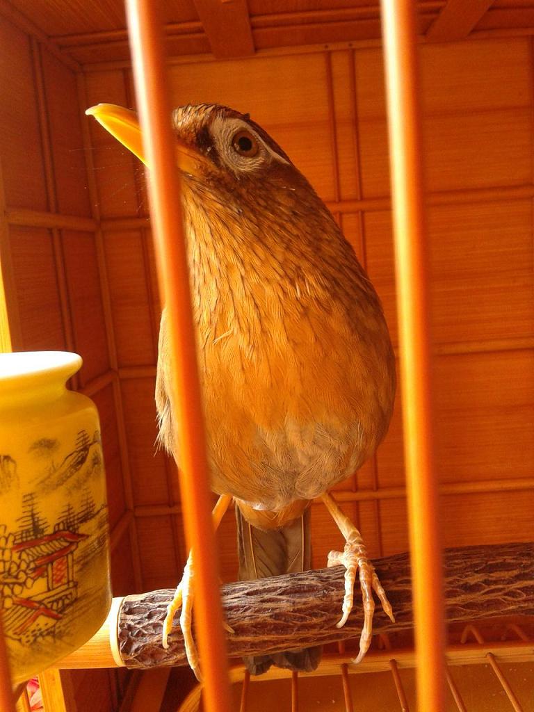 20141127_134936.jpg
