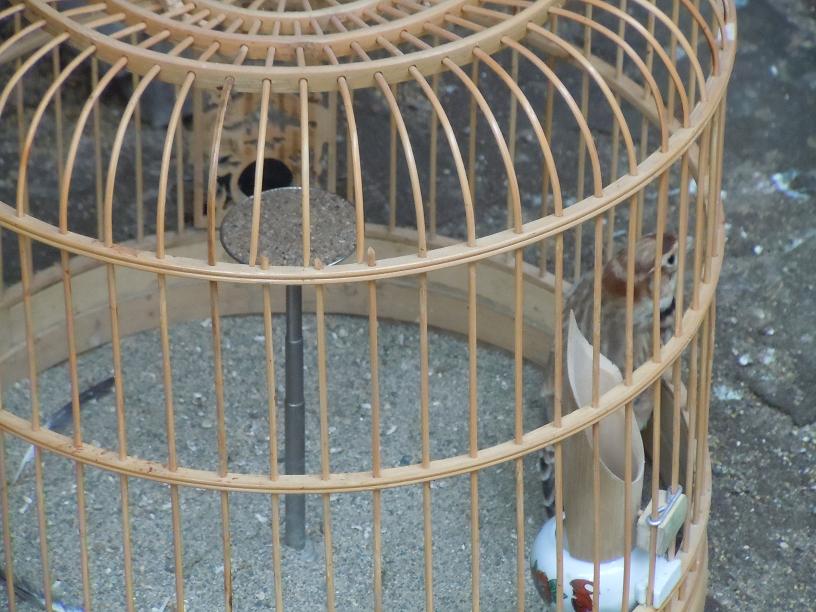 照片 036.jpg