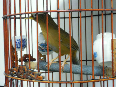 DSCN6566.JPG