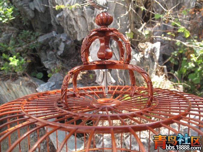 IMG_1099_调整大小.JPG