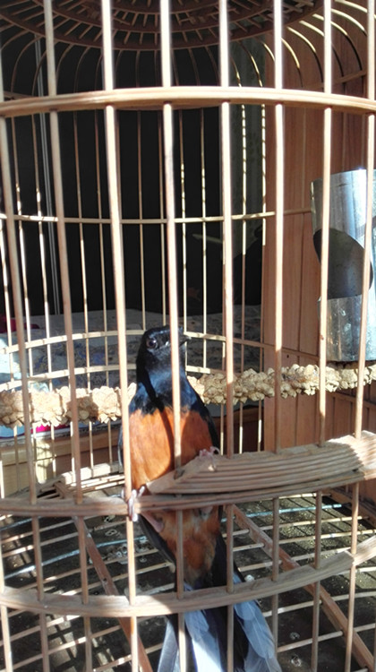 IMG20141216121741.jpg