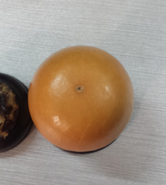20141210_120355.jpg