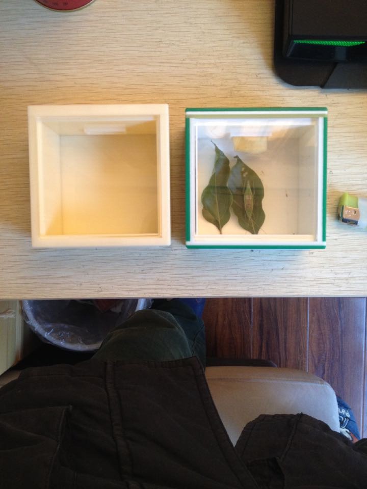 QQ图片20141218161042.jpg