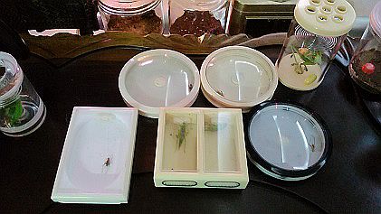 IMG_20141228_005043.jpg