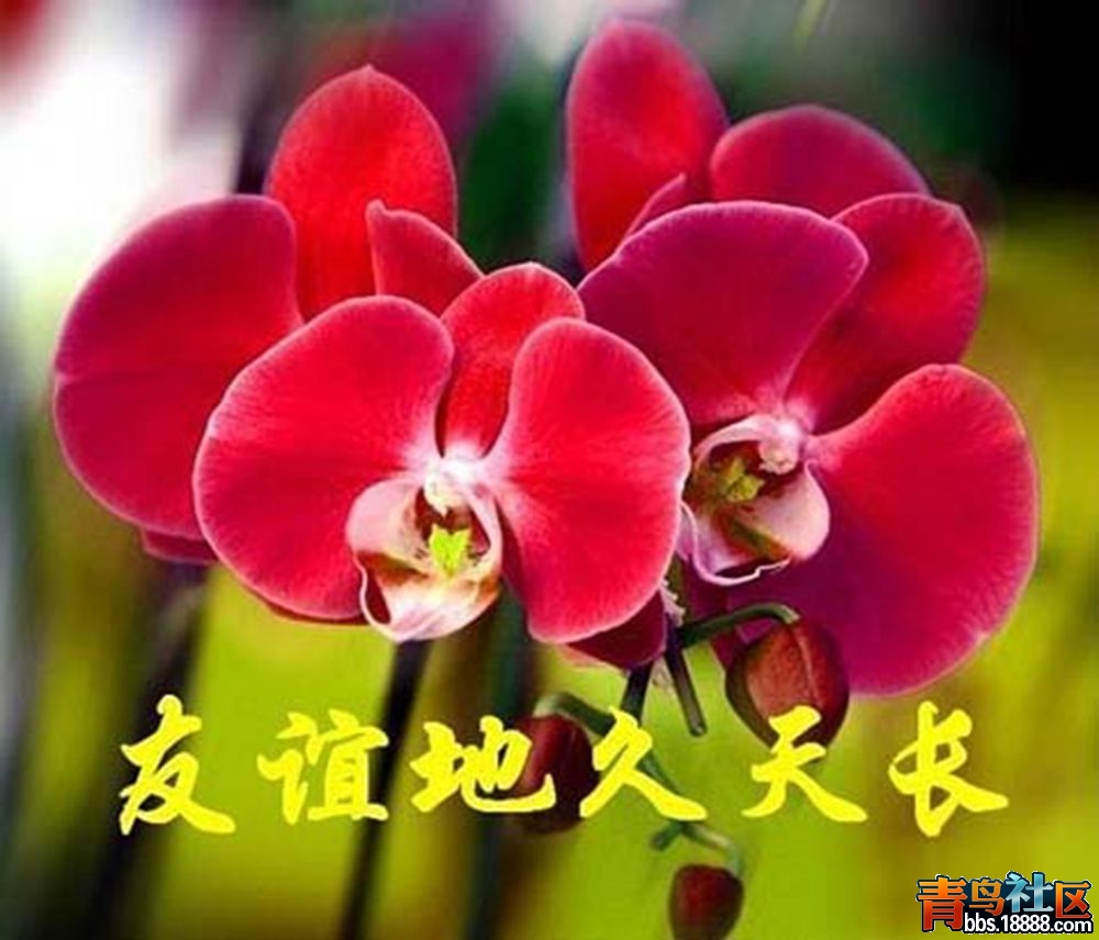 671aad00d8fd17b4d535af6e719c2e02_副本.jpg