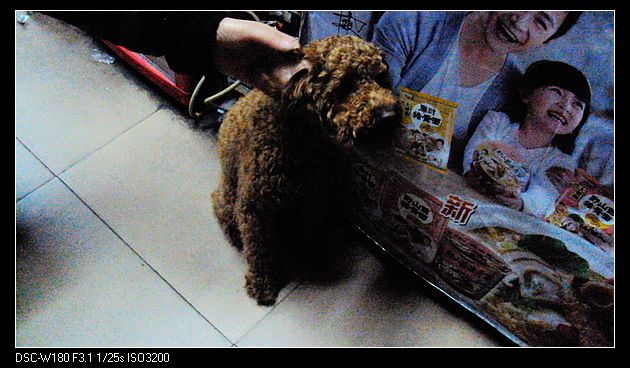 nEO_IMG_DSC04003.jpg