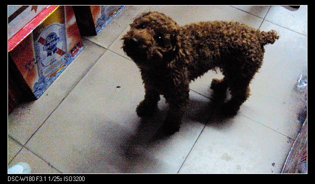 nEO_IMG_DSC04006.jpg