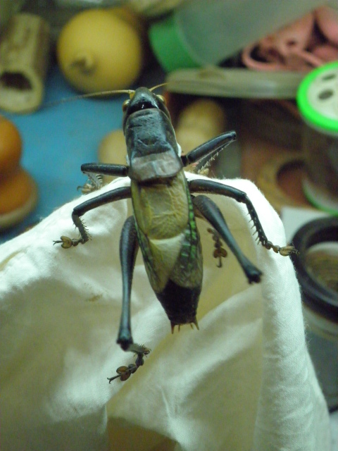 PA302350.JPG