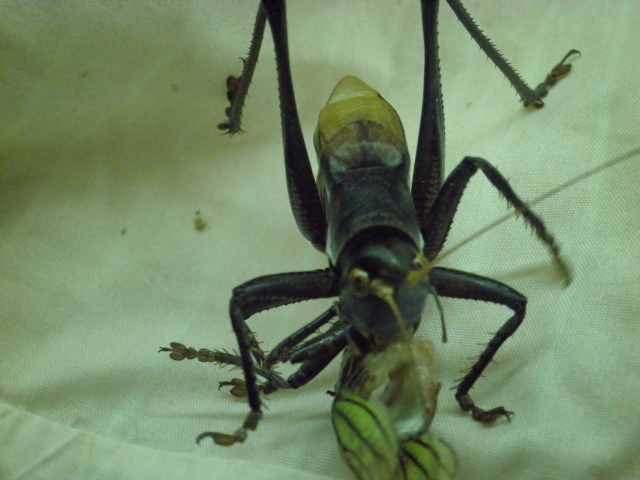 PA302373.JPG