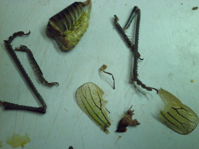 PA302400.JPG