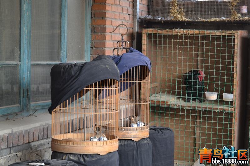DSC_0319.JPG
