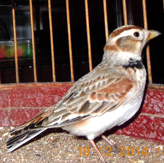 DSCN7215.JPG