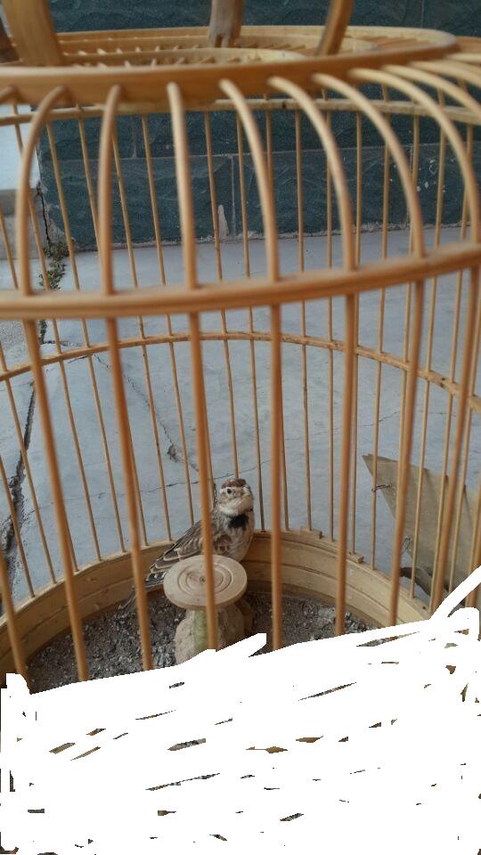 QQ图片20141212160815.jpg