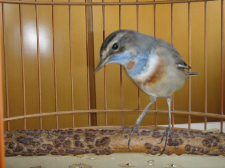 DSC00091_副本.jpg