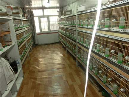 CIMG4627_副本.jpg