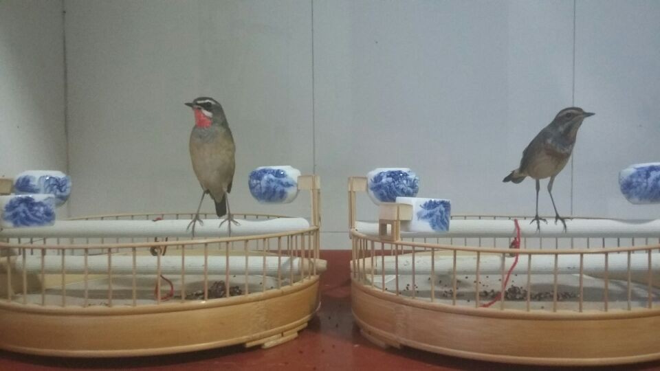 QQ图片20131221162145.jpg