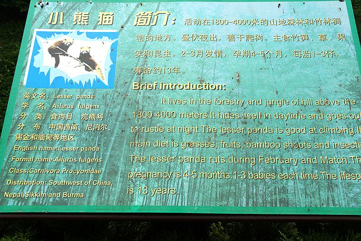 DSC01822.JPG