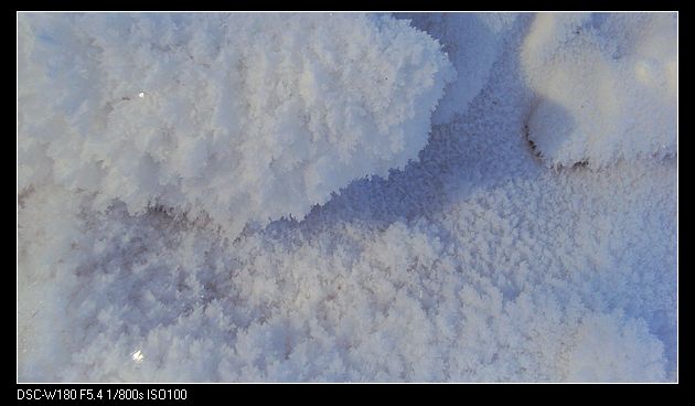 nEO_IMG_DSC04867.jpg
