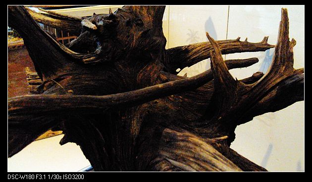 nEO_IMG_DSC04792.jpg