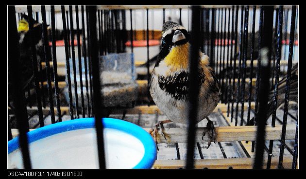 nEO_IMG_DSC05062.jpg