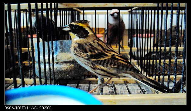 nEO_IMG_DSC05065.jpg