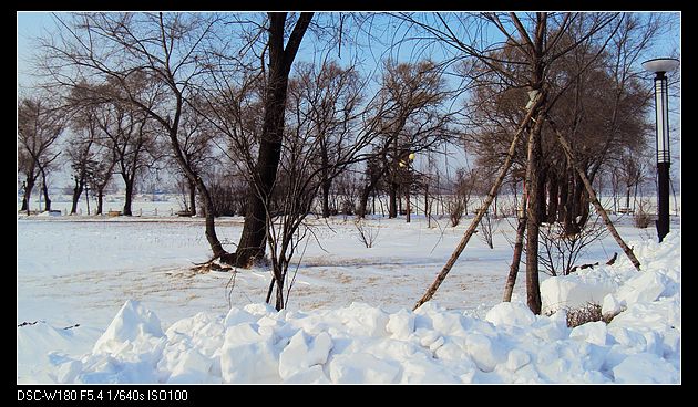 nEO_IMG_DSC04859.jpg