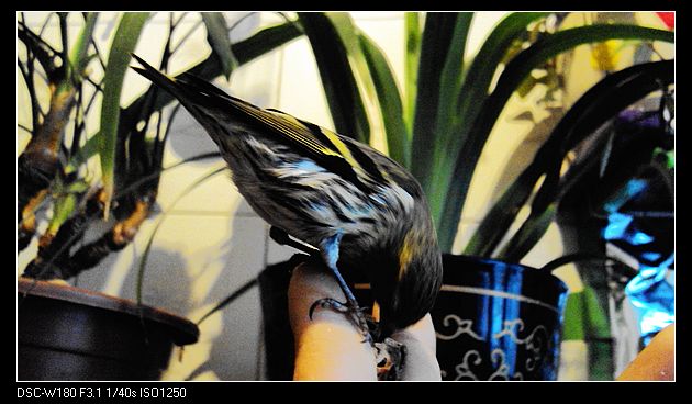 nEO_IMG_DSC04680.jpg
