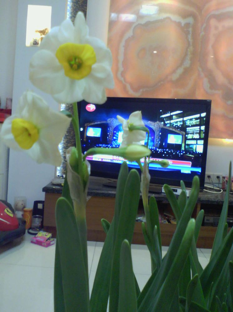 IMG_20141208_173654.jpg