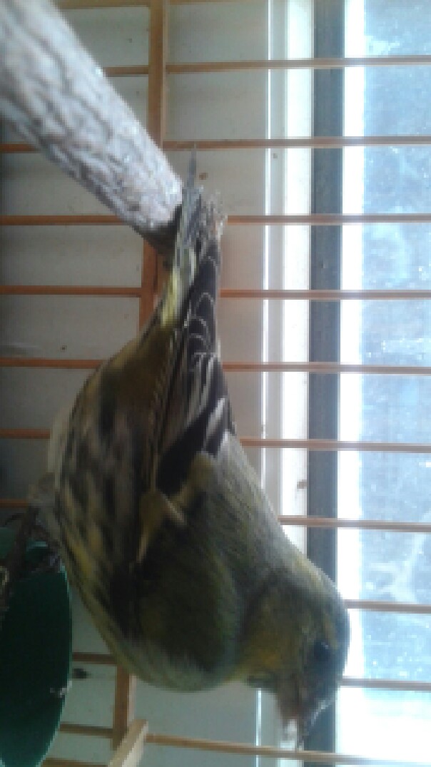 resize_20141216140648.jpg