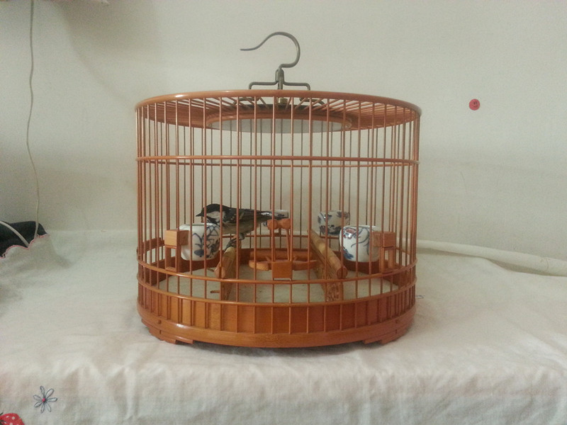 20141205_142513_副本.jpg