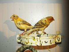 DSCN0644.JPG