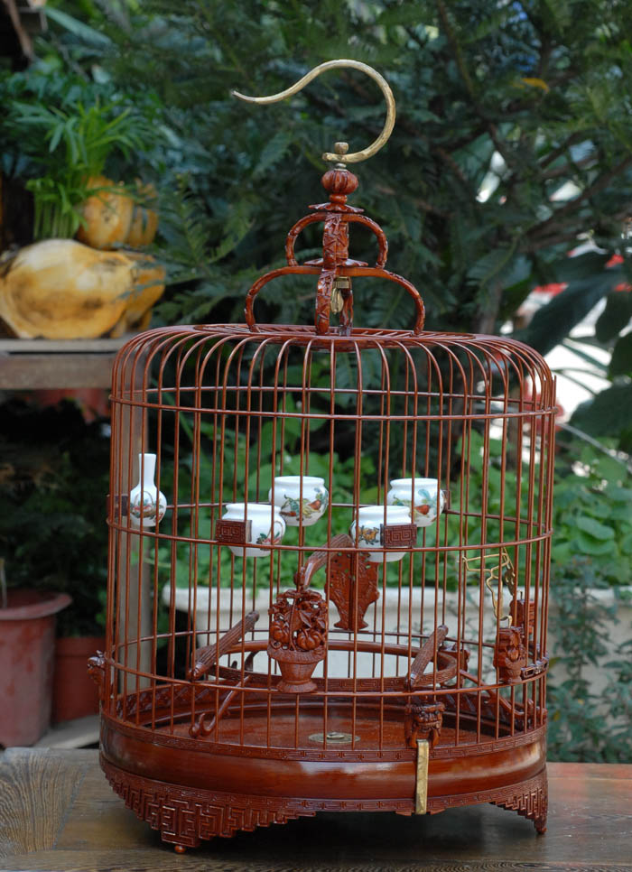 DSC_0002.JPG