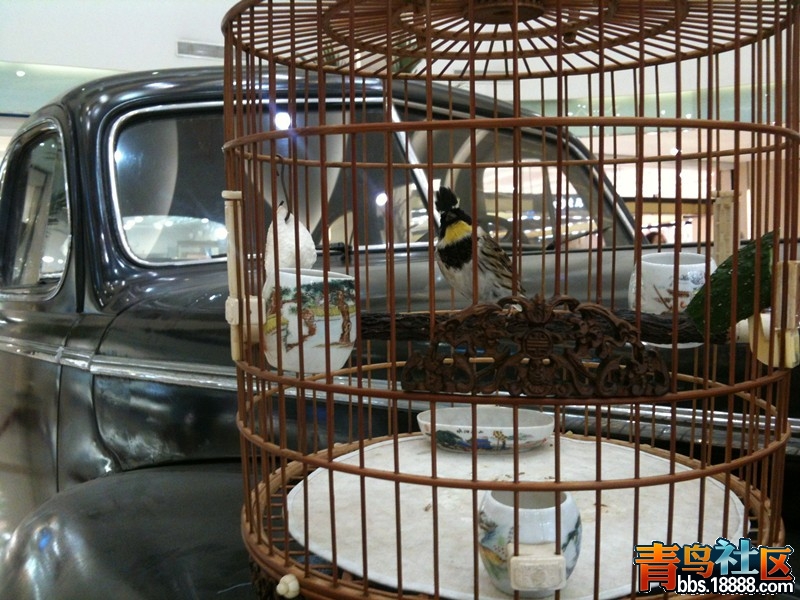 手机照片 024_副本_副本.jpg