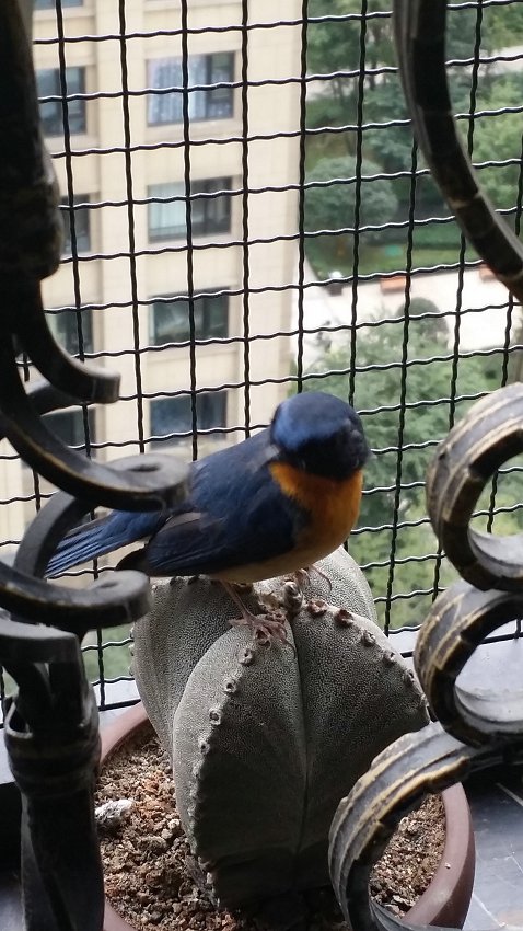 20141013_112404.jpg
