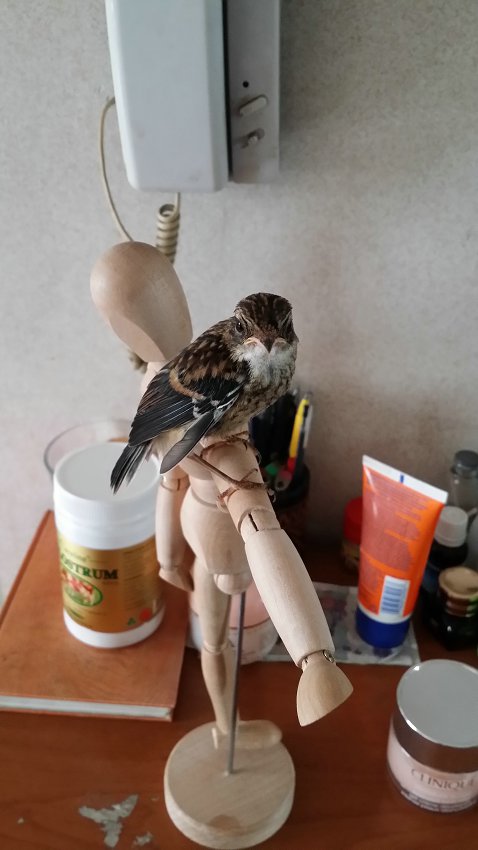20140524_114910.jpg