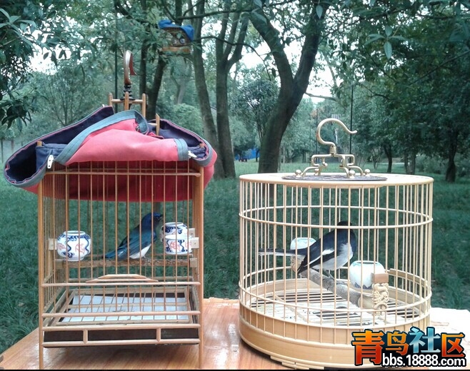QQ图片20150109234745.jpg