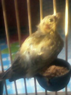 IMG0074A.jpg