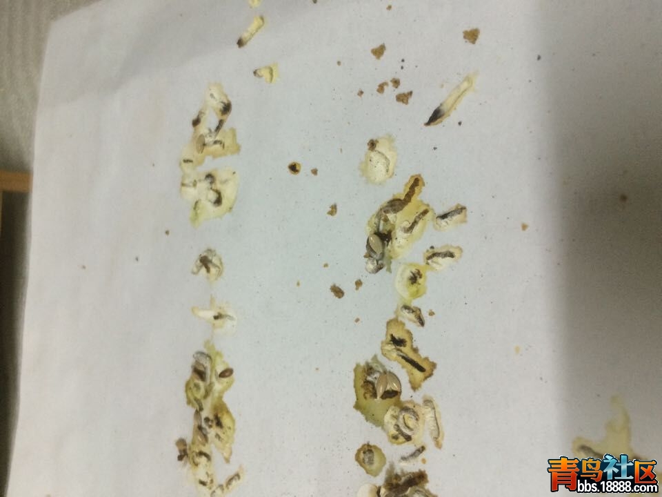 QQ图片20150108233320.jpg