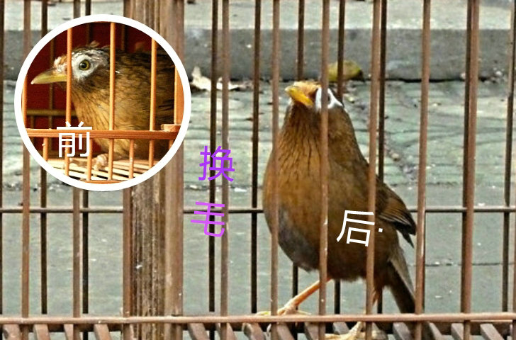 奇幻绘画.jpg