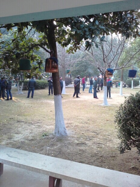 QQ图片20150115145009.jpg