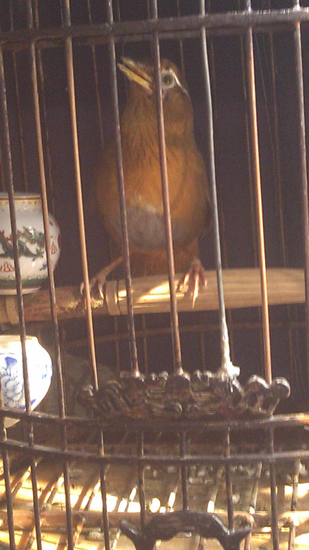IMAG4477.jpg