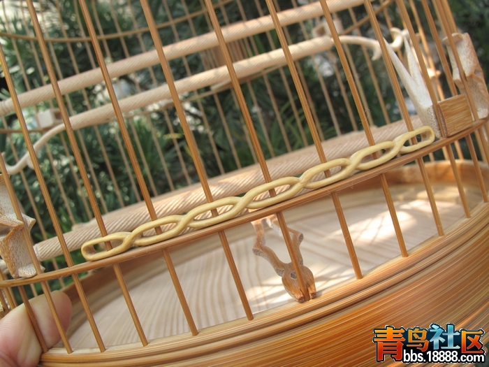 IMG_1305_调整大小.JPG