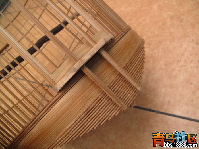 IMG_1339_调整大小.JPG