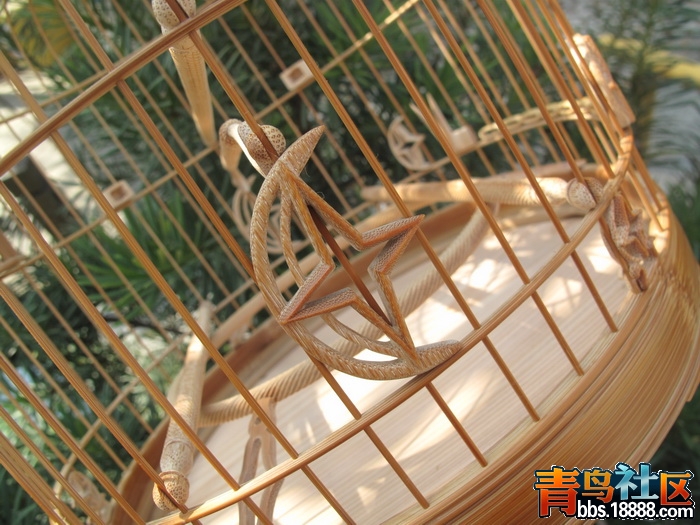 IMG_1309_调整大小.JPG