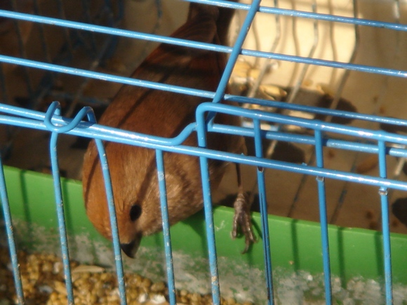 DSC07254.JPG