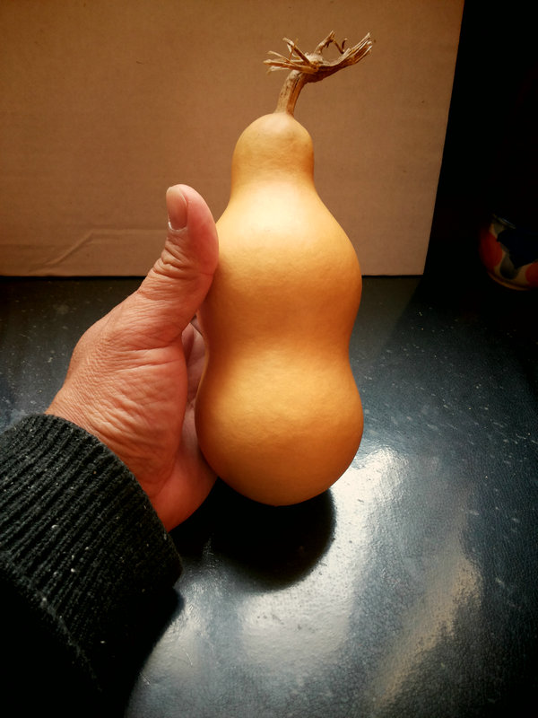 20150118_101946.jpg