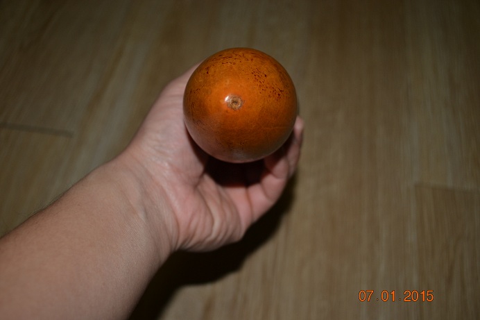 DSC_0437.JPG