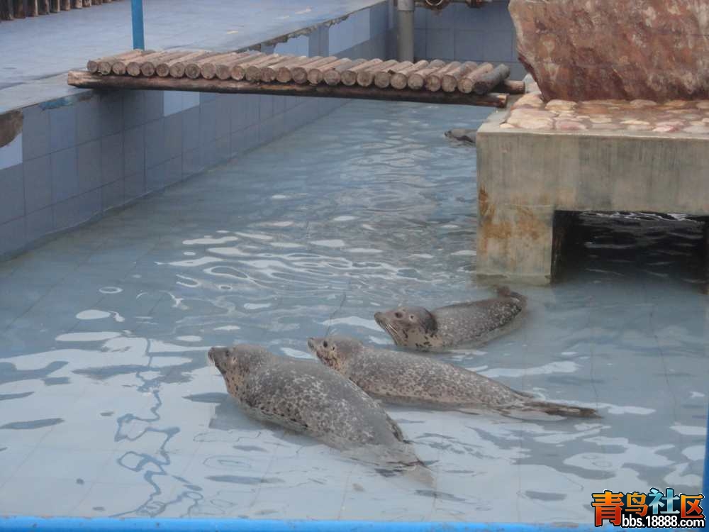 DSC01664_副本.jpg