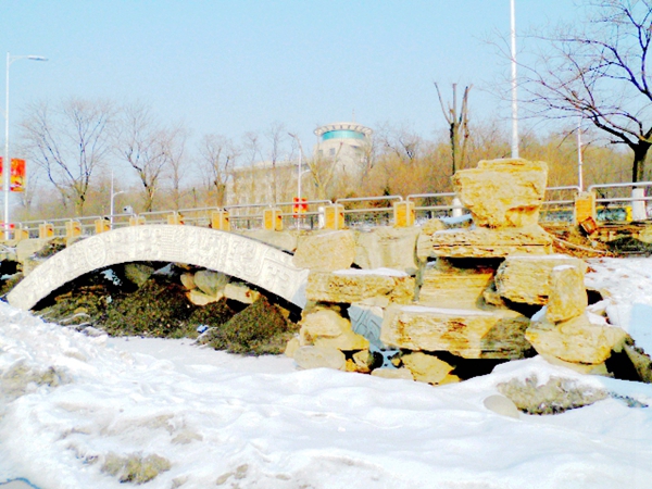 CIMG3156.JPG
